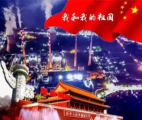 解救金刚鹦鹉
