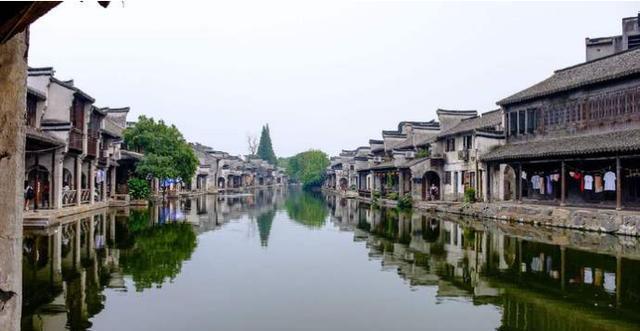 细胞分裂4